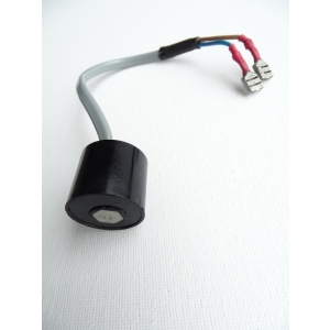 550195 Saurer, Senor Black (Used)